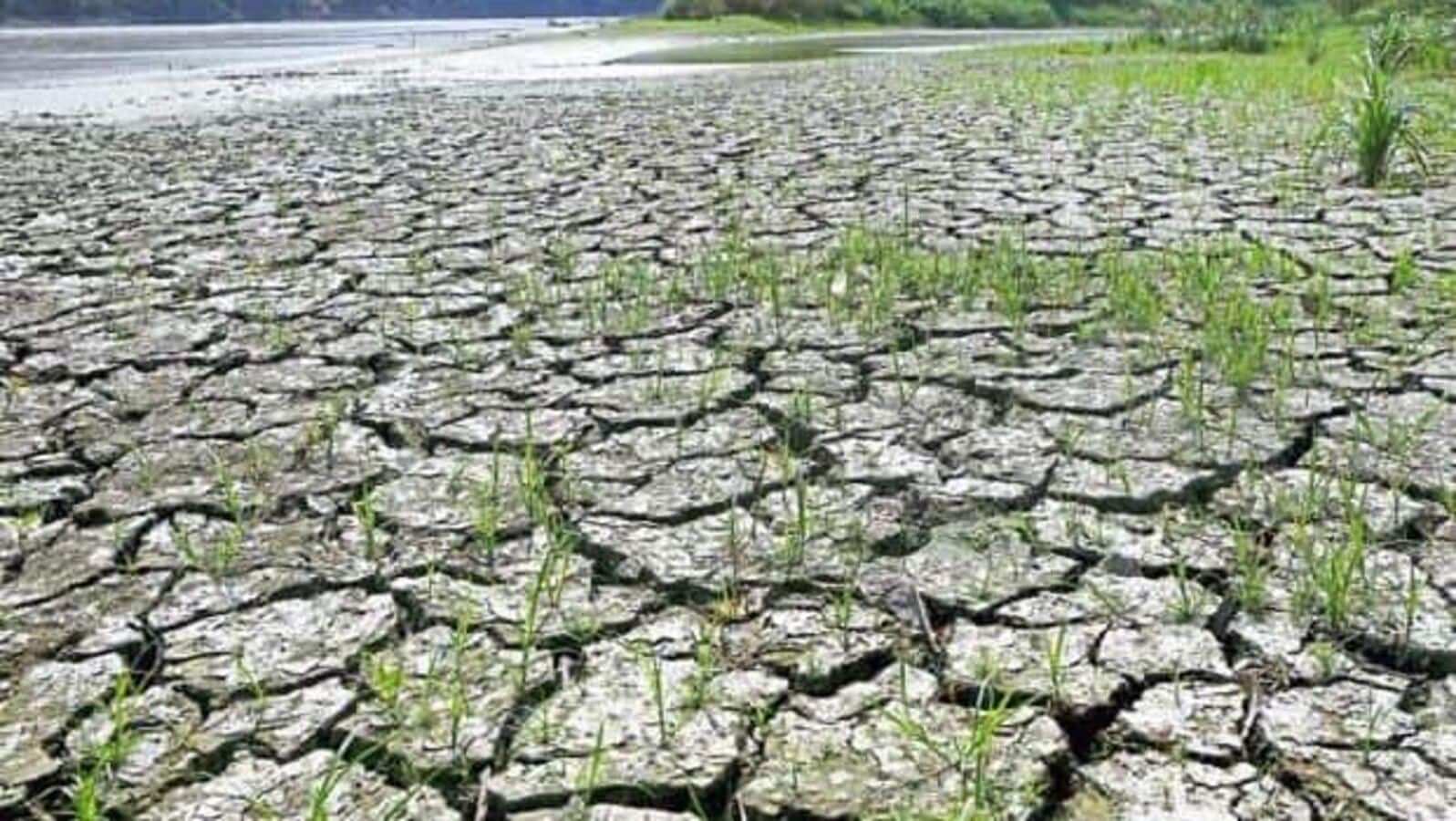 2026-ல் ‘சூப்பர் எல் நினோ’ அபாயம்: பருவமழை குறைவு அச்சம்