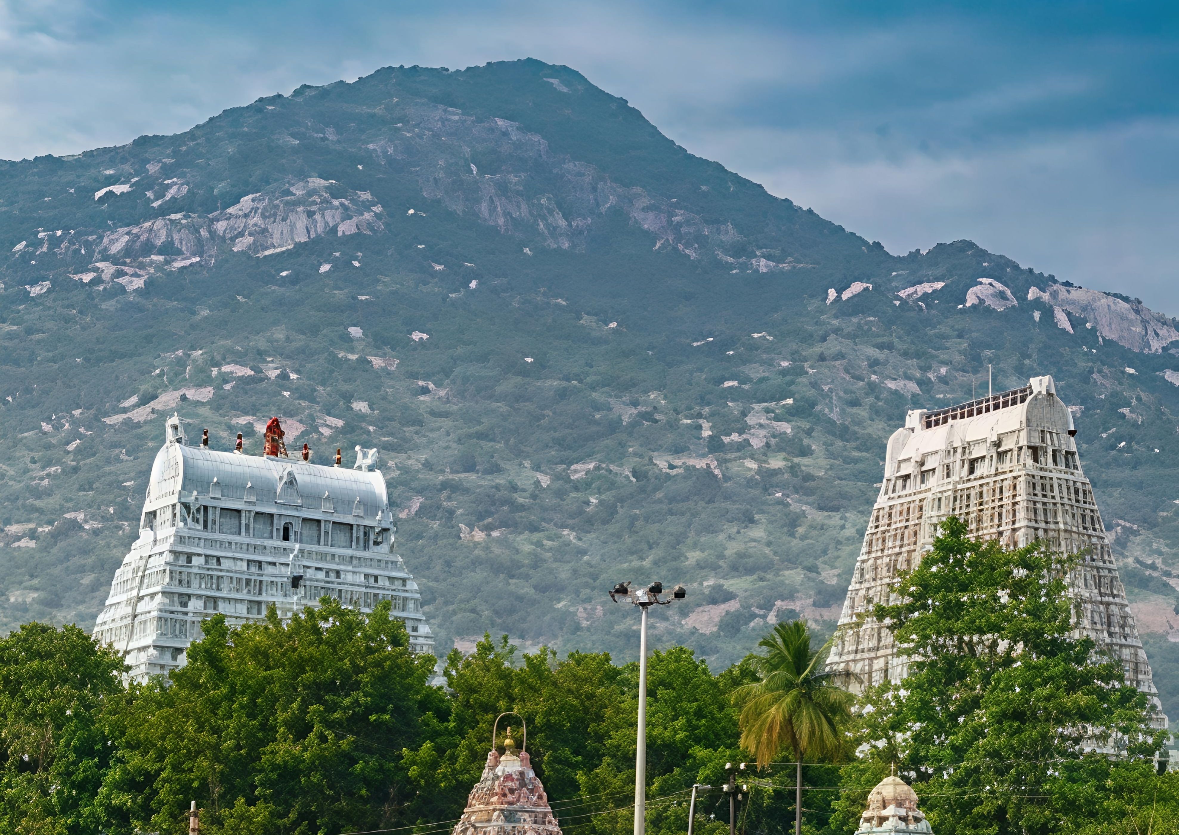 சித்ரா பௌர்ணமி விழா: திருவண்ணாமலையில் கிரிவலத்துக்கு சிறப்பு பேருந்து, ரயில் வசதி