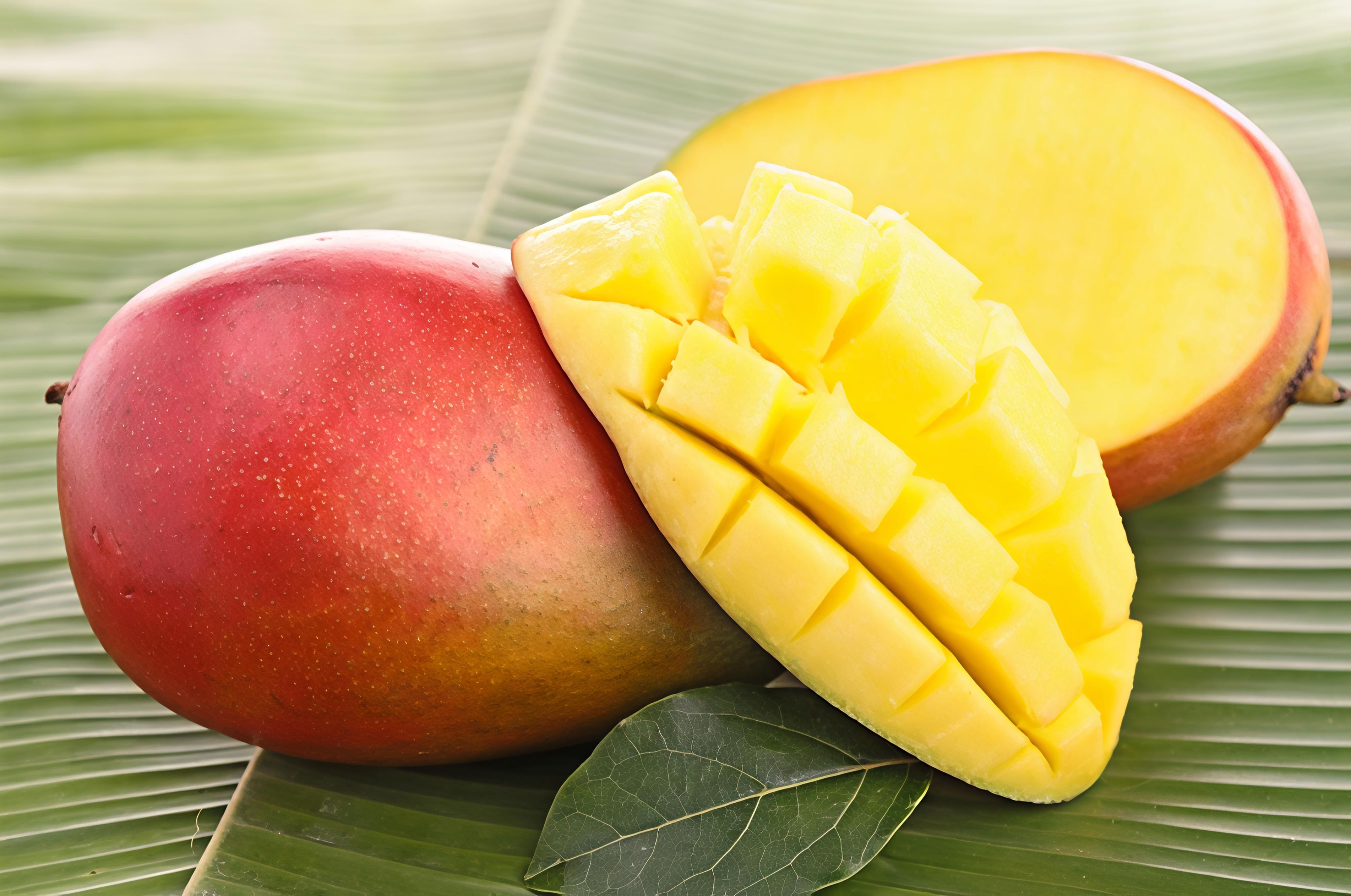 கோடையை குளிர்விக்கும் மாம்பழ சீசன்: சுவையும் ஆரோக்கியமும்