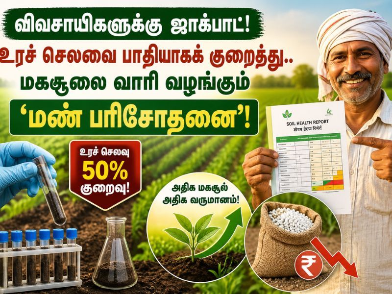 விவசாயிகளுக்கு ஜாக்பாட்! உரச் செலவை பாதியாகக் குறைத்து.. மகசூலை வாரி வழங்கும் 'மண் பரிசோதனை'!