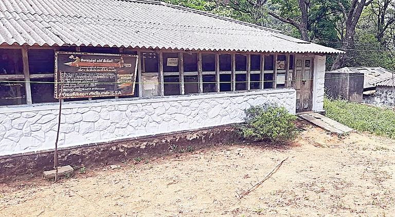 ஆண்டிபட்டி வனப்பகுதியில் வெறும் 5 பேருக்காக உருவாகும் வாக்குச்சாவடி மையம்!