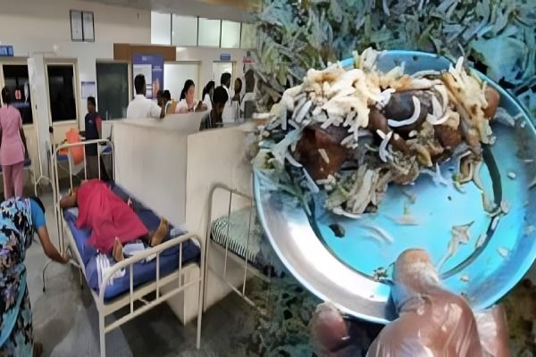 கெட்டுப்போன சிக்கன் பிரியாணி... சுருண்டு விழுந்த 100 பெண் ஊழியர்கள்; கேட்டரிங்கிற்கு சீல்!
