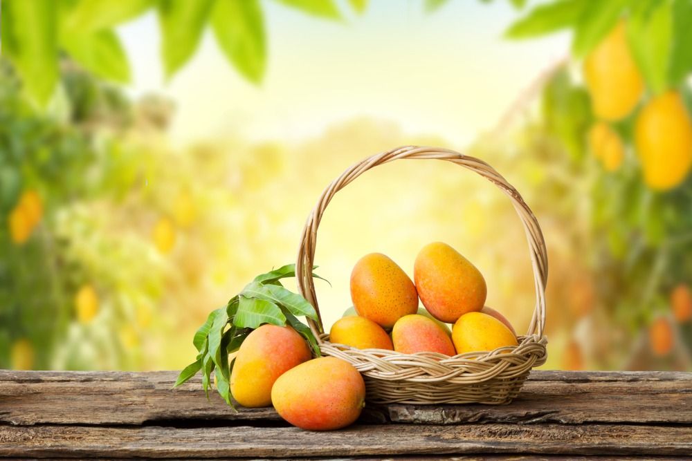 மாம்பழ பிரியர்களே உஷார்... பழங்களை சீக்கிரம் அழுகாமல் நீண்ட நாட்கள் சுவையாக வைக்க எளிய டிப்ஸ்!