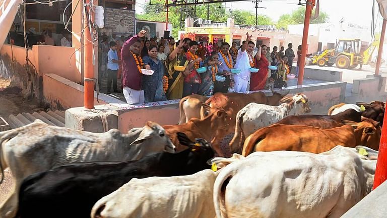 பசுவை 'தேசிய விலங்காக' அறிவிக்கப் பல்வேறு இஸ்லாமிய அமைப்புகள் கோரிக்கை!